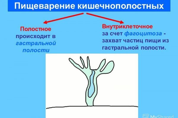 Кракен даркнет store