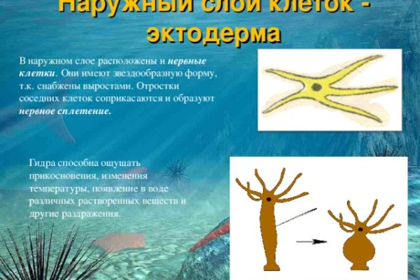 Ссылки зеркала на kraken