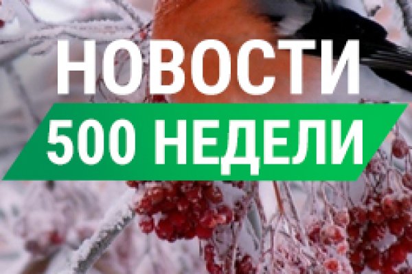 Как зайти на кракен с телефона андроид
