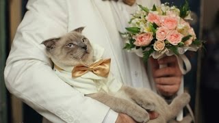 Кракен сайт ссылка